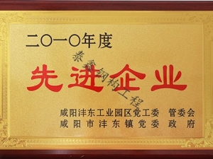 先進(jìn)企業(yè)