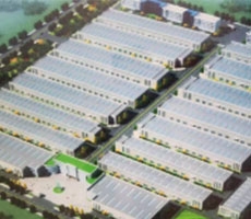 泰鑫鋼結(jié)構(gòu)工程—構(gòu)建美好生活！